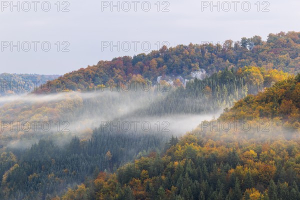 View from the Knopfmacherfels into the Danube valley, mixed forest, autumn colours, fog, autumn, Fridingen, Upper Danube nature park Park, Baden-Württemberg, Germany