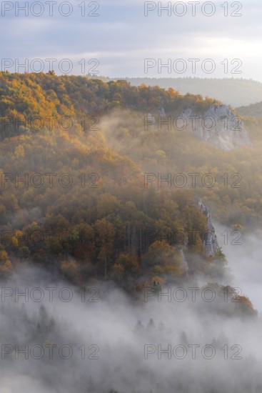 View from the Knopfmacherfels into the Danube valley, limestone rock, rock face, mixed forest, autumn colours, fog, autumn, Fridingen, Upper Danube nature park Park, Baden-Württemberg, Germany