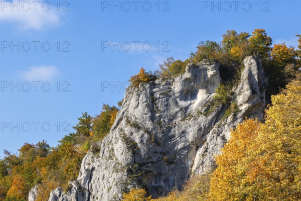 Rock face mixed forest in autumn colours, limestone rock, autumn, Gutenstein, Danube valley, Upper Danube nature park Park, Baden-Württemberg, Germany