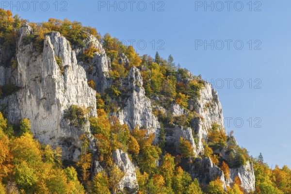 Rock face with mixed forest in autumn colours, limestone rock, autumn, Schaufelsen Donautal, Naturpark Obere Donau, Baden-Württemberg, Germany