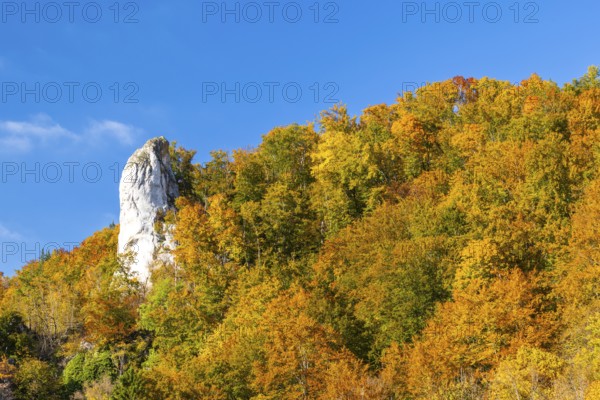 Rock needle in mixed forest in autumn colours, limestone rock, autumn, Danube valley, Upper Danube nature park Park, Baden-Württemberg, Germany