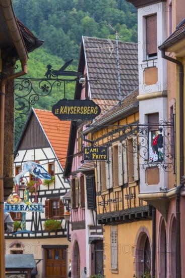 Alley with half-timbered houses and guild signs in the old town of Kaysersberg