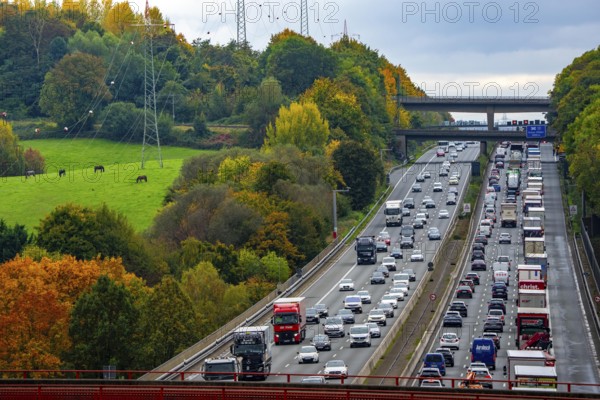 Landscape next to the traffic jam on the A3 motorway between the Hilden junction and the Mettmann junction, view to the south, traffic jam due to construction work, North Rhine-Westphalia, Germany