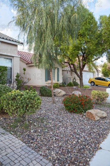 Las Vegas, Nevada - The Las Vegas Valley Water District has cut usage of scarce Colorado River water by more than 30% over the last 20 years despite a growing population. Water patrol officers write tickets for illegal water use, and the District offers financial incentives to convert grass lawns to less water-hungry yards