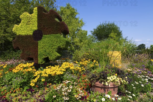 Live plant Gear sculpture, Echinacea, yellow Rudbeckia hirta - Black eyed Susan - Coneflowers, Petunias in terracotta container in mixed border in summer, Laval, Quebec, Canada