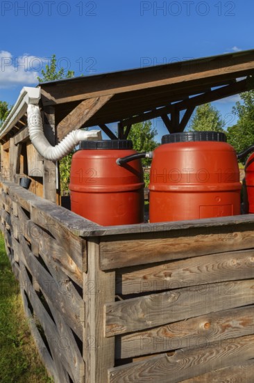 Reddish brown plastic water butts collecting and storing rain water from white plastic downspout in community garden enclosure in summer, Quebec, Canada