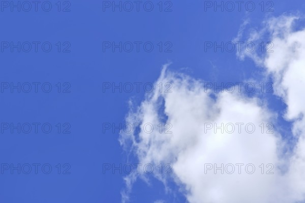 Blue sky with white fluffy clouds with copy space