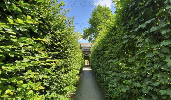 Austria, Schonbrunn Palace Imperial royal Gardens in Vienna