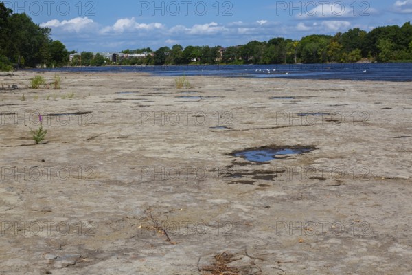 Puddle of water and mixed plants growing in dried out flat rock river bed due to lack of rainfall during hot and dry summer, Laval, Quebec, Canada