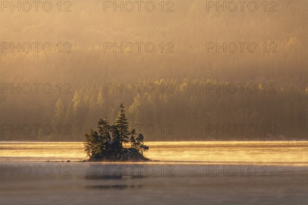 Morning atmosphere at the Eibsee lake, small island in the first light, Grainau near Garmisch-Partenkirchen, Upper Bavaria, Bavaria, Germany