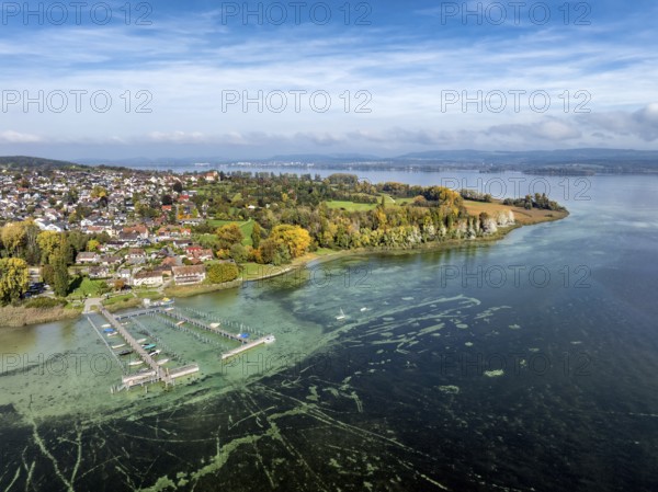 Aerial view of the Höri peninsula with the village of Horn and the boat harbour with jetty, on the horizon Lake Zell with the town of Radolfzell on Lake Constance, Gaienhofen, district of Constance, Baden-Württemberg, Germany