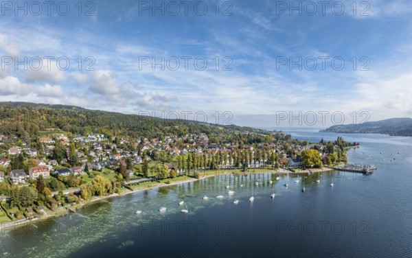 Aerial view, panorama of the village of Wangen on the Höri peninsula with boat moorings and jetty on the lakeshore, Lake Rhine, Lake Constance, Constance district, Baden-Württemberg, Germany