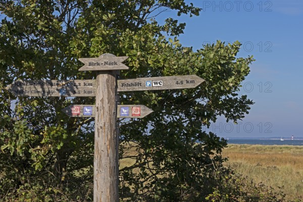 Signpost, Birk-Nack, Geltinger Birk nature reserve, Nieby, Schleswig-Holstein, Germany
