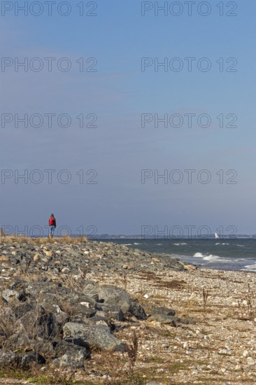 Beach, Baltic Sea, Falshöft, Pommerby, Schleswig-Holstein, Germany