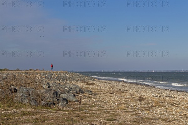 Beach, Baltic Sea, Falshöft, Pommerby, Schleswig-Holstein, Germany