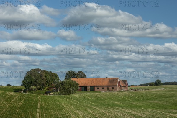 Old red farm under cloud in Baldinge, Ystad nunicipality, Skåne county, Sweden, Scandinavia
