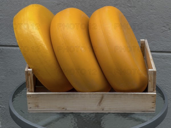 Three cheeses on display outside a shop in Ystad, Skåne County, Sweden, Scandinavia
