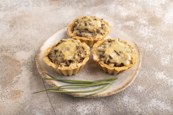 Tartlets with meat and cheese on brown concrete background. side view, close up