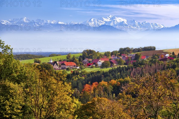 Village of Juriens in the Vaud Jura with view of Mont Blanc, haze over Lake Geneva, autumn-coloured deciduous trees in front, Canton of Vaud, Switzerland