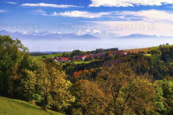 Village of Juriens in the Vaud Jura with view of Mont Blanc, haze over Lake Geneva, autumn-coloured deciduous trees in front, Canton of Vaud, SwitzerlandVillage view of Juriens with view of Mont Blanc, haze over Lake Geneva, Canton of Vaud, Switzerland