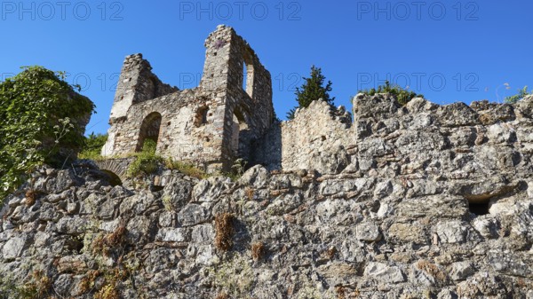 Ruined walls with plants under a clear blue sky in an ancient setting, Mystras, Mistra, UNESCO World Heritage Site, Medieval Byzantine ruined city, northwest of Sparta, foothills of the Tyagetos Mountains, Peloponnese, peninsula, Greece