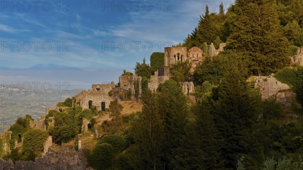 Church of Agia Sophia from the 14th century AD, ruins and trees cover a sunny hillside with a clear blue sky in the background, Mystras, Mistra, UNESCO World Heritage Site, Medieval Byzantine ruined city, northwest of Sparta, foothills of the Tyagetos Mountains, Peloponnese, peninsula, Greece