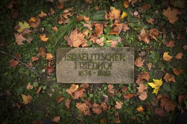 Jewish cemetery, Jewish cemetery, Hoppenlauf cemetery, oldest preserved cemetery in Stuttgart, autumn leaves, autumn, autumnal, Baden-Württemberg, Germany