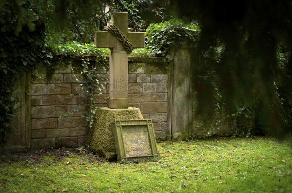 Gravestone, ivy, grave, graves, Hoppenlauf cemetery, oldest preserved cemetery in Stuttgart, autumn, autumnal, Baden-Württemberg, Germany