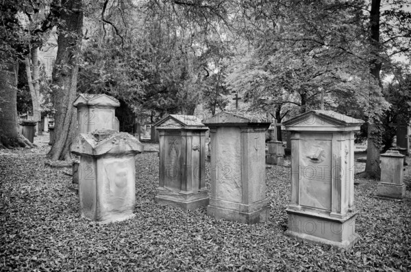 Gravestones, grave, graves, Hoppenlauf cemetery, oldest preserved cemetery in Stuttgart, black and white, autumn leaves, autumn, autumnal, Baden-Württemberg, Germany