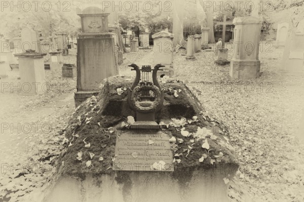 Gravestone, grave of poet and writer Wilhelm Hauff, graves, Hoppenlauf cemetery, oldest preserved cemetery in Stuttgart, black and white, vintage, autumn leaves, autumn, autumnal, Baden-Württemberg, Germany