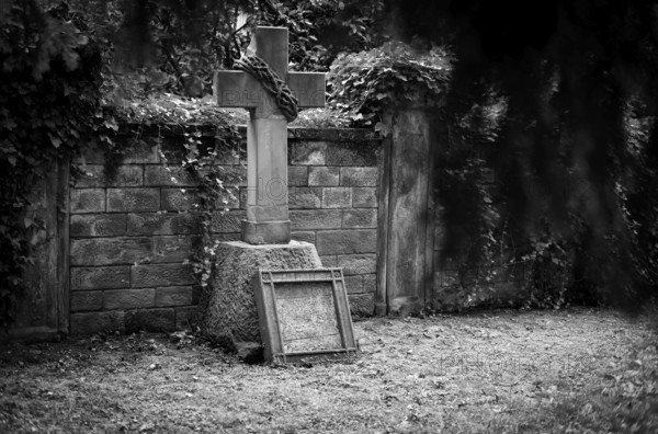 Gravestone, ivy, grave, graves, Hoppenlauf cemetery, oldest preserved cemetery in Stuttgart, black and white, autumn, autumnal, Baden-Württemberg, Germany