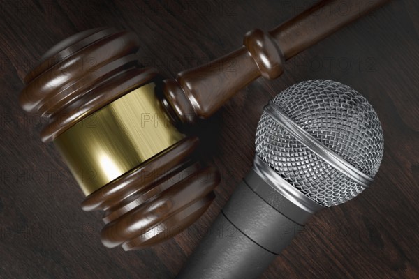 Close-up of a gavel and microphone resting on a wooden table