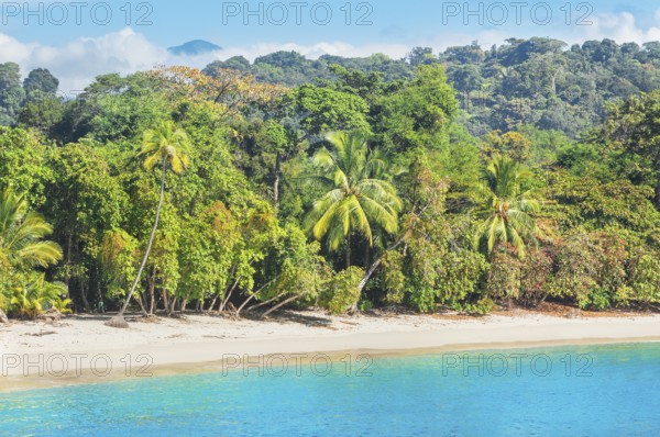 Tropical beach, Manuel Antonio National Park, Quepos, Costa Rica