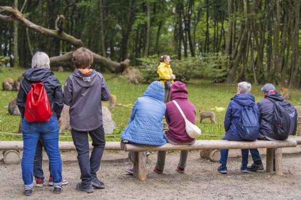 Group of people sitting and standing in a wooded area, surrounded by trees and wearing casual clothes, Affenberg Salem, Bodenseekreis, Germany