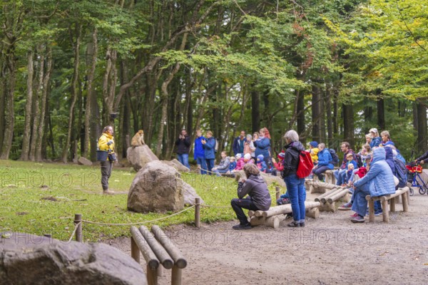 Group of visitors observing a monkey during a guided tour in a natural environment, Affenberg Salem, Lake Constance district, Germany