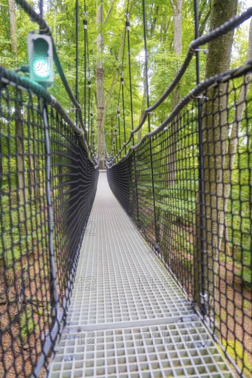 A narrow suspension bridge made of plastic and rope leads through a dense forest, Affenberg Salem, Lake Constance district, Germany