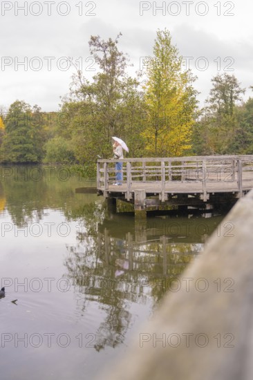 Person stands with umbrella on a footbridge over a calm lake, Affenberg Salem, Lake Constance district, Germany