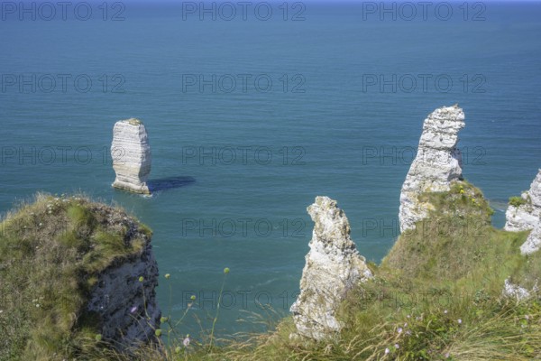 Aiguille de Belval, hike from Etretat to Yport along the chalk cliff coast, Département Seine-Maritime, France