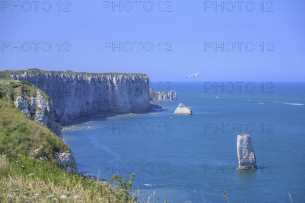 Aiguille de Belval, hike from Yport to Etretat along the chalk cliff coast, Département Seine-Maritime, France