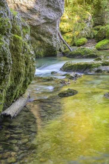 Erlauf Gorge, Purgstall an der Erlauf, Lower Austria, Austria