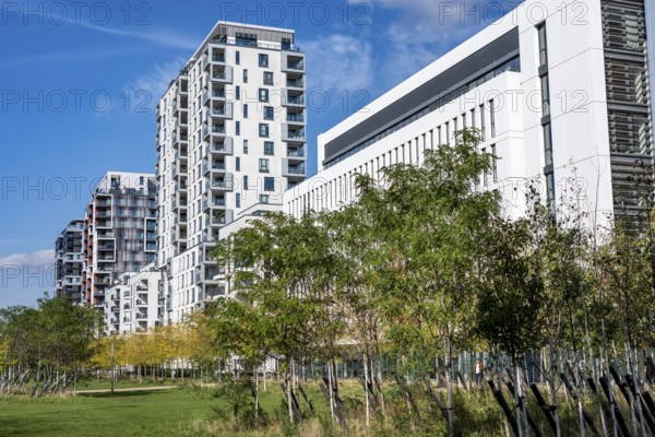 Modern residential neighbourhood along Toulouser Allee, high-rise buildings with flats and offices, on former railway premises, North Rhine-Westphalia, Germany
