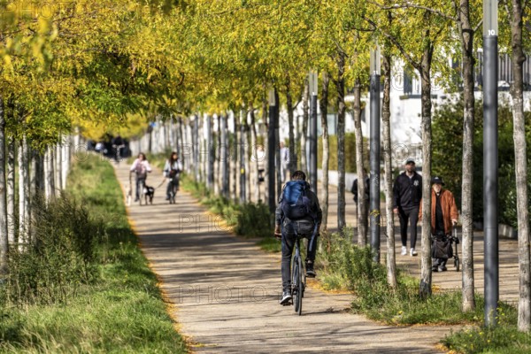 Cycle path, footpath, avenue, residential area along Toulouser Allee, high-rise buildings with flats and offices, on former railway grounds, North Rhine-Westphalia, Germany