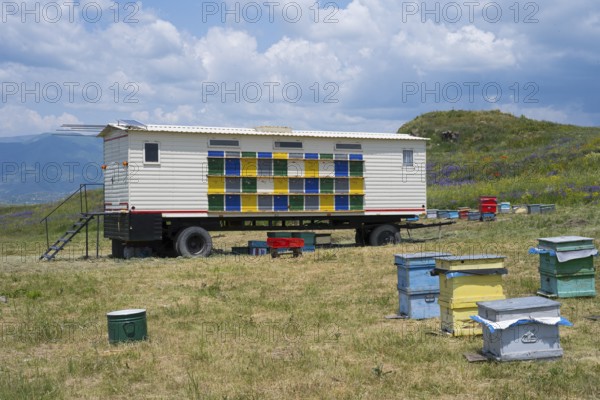 A colourful bee wagon surrounded by beehives is located in a green landscape under a cloudy sky, beekeeper, near Fantan, Kotayk province, Kotayk, Armenia