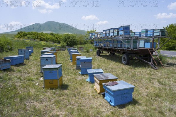 Numerous blue and yellow beehives stand in a flat meadow at the foot of a green hill, beekeeper, near Fantan, Kotayk province, Kotayk, Armenia