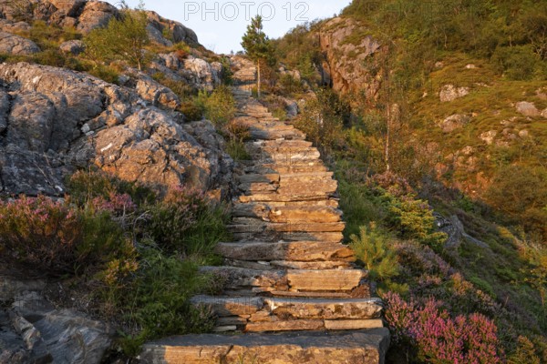 Section of the Rørsethornet Stone Staircase illuminated by warm evening light, with 3292 steps one of the longest continuous stone staircases in the world, Sherpat Staircase or Midsund Staircase or Midsundtrappene, Rørsethornet hike, evening mood, Otroya or Otrøya Island, Møre og Romsdal, Norway