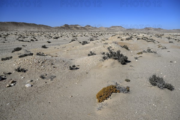 Diamond mining mound in the desert sand at the beginning of the 20th century, Pomona, restricted diamond area, near Lüderitz, Karas region, Namibia