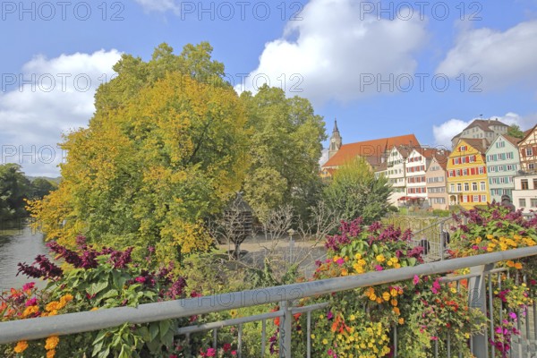 Colourful house front on the Neckar, house facade, Neckar bank, Neckar front, Neckar island, flower decoration, Eberhardsbrücke, Tübingen, Neckar valley, Baden-Württemberg, Germany