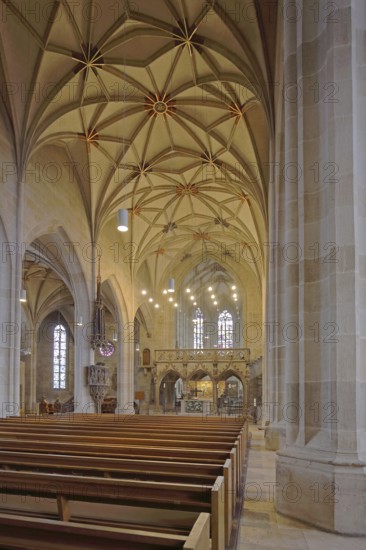 Late Gothic collegiate church of St George, rood screen, interior view, Tübingen, Neckar Valley, Baden-Württemberg, Germany