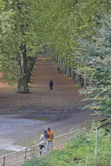 Plane tree avenue with pedestrian and standing couple, stroller, stroll, strolling, standing, symbol, single, couple, walk, vanishing point, plane trees, trees, Neckar island, Tübingen, Neckar valley, Baden-Württemberg, Germany