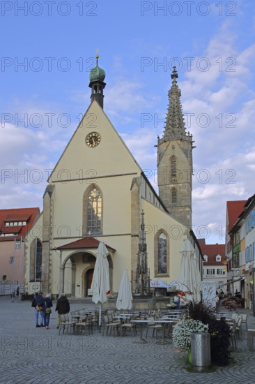 Baroque St Martin's Cathedral, Rottenburg am Neckar, Neckar Valley, Baden-Württemberg, Germany